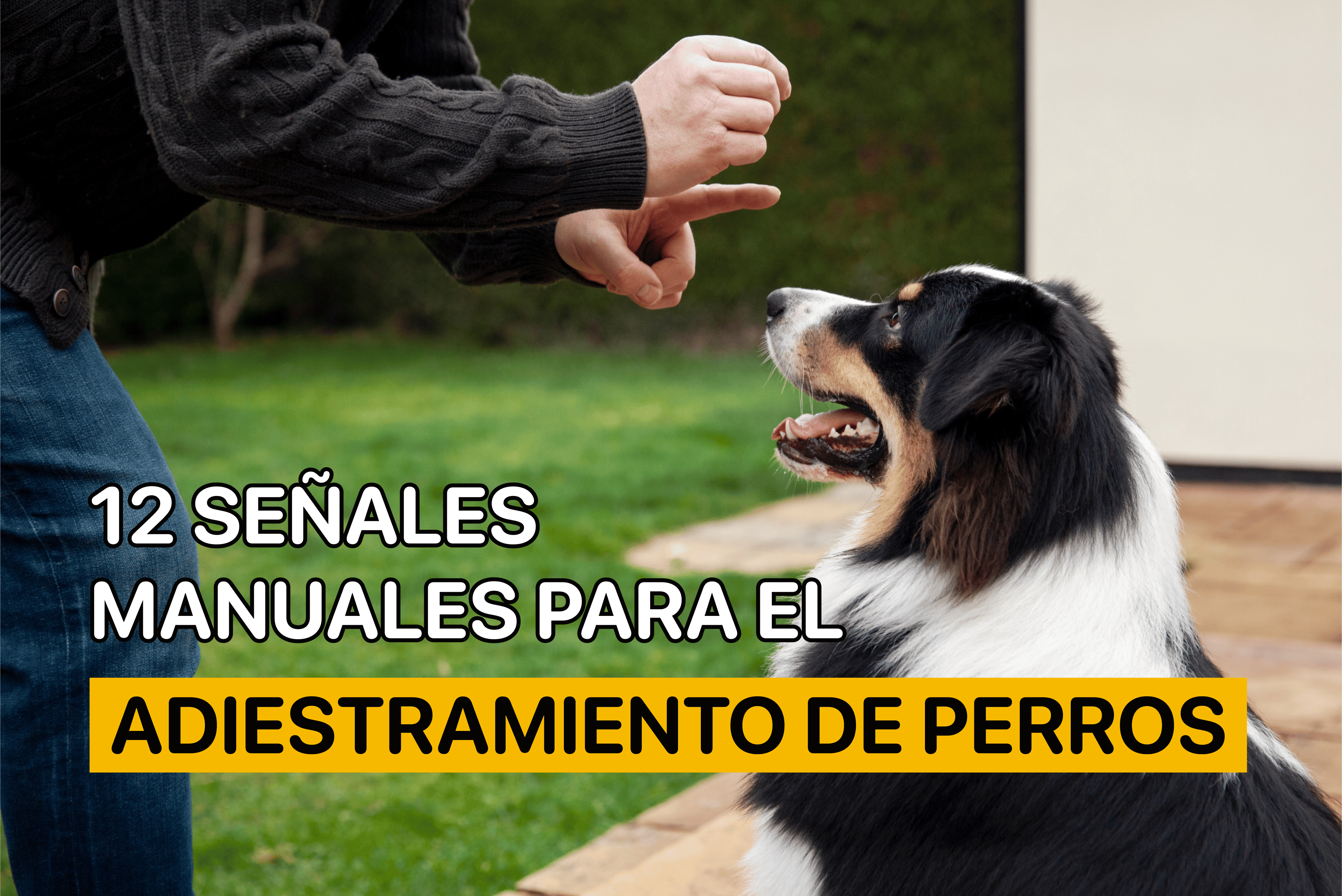 señales de mano de adiestramiento de perros