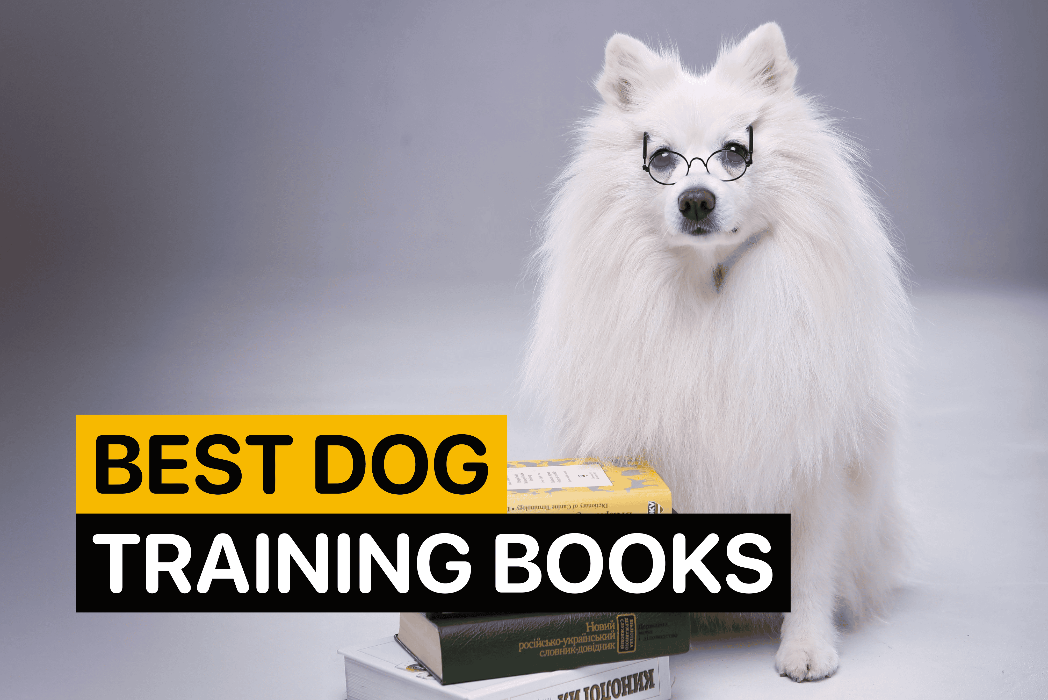 Best Dog Training Books - Woofz