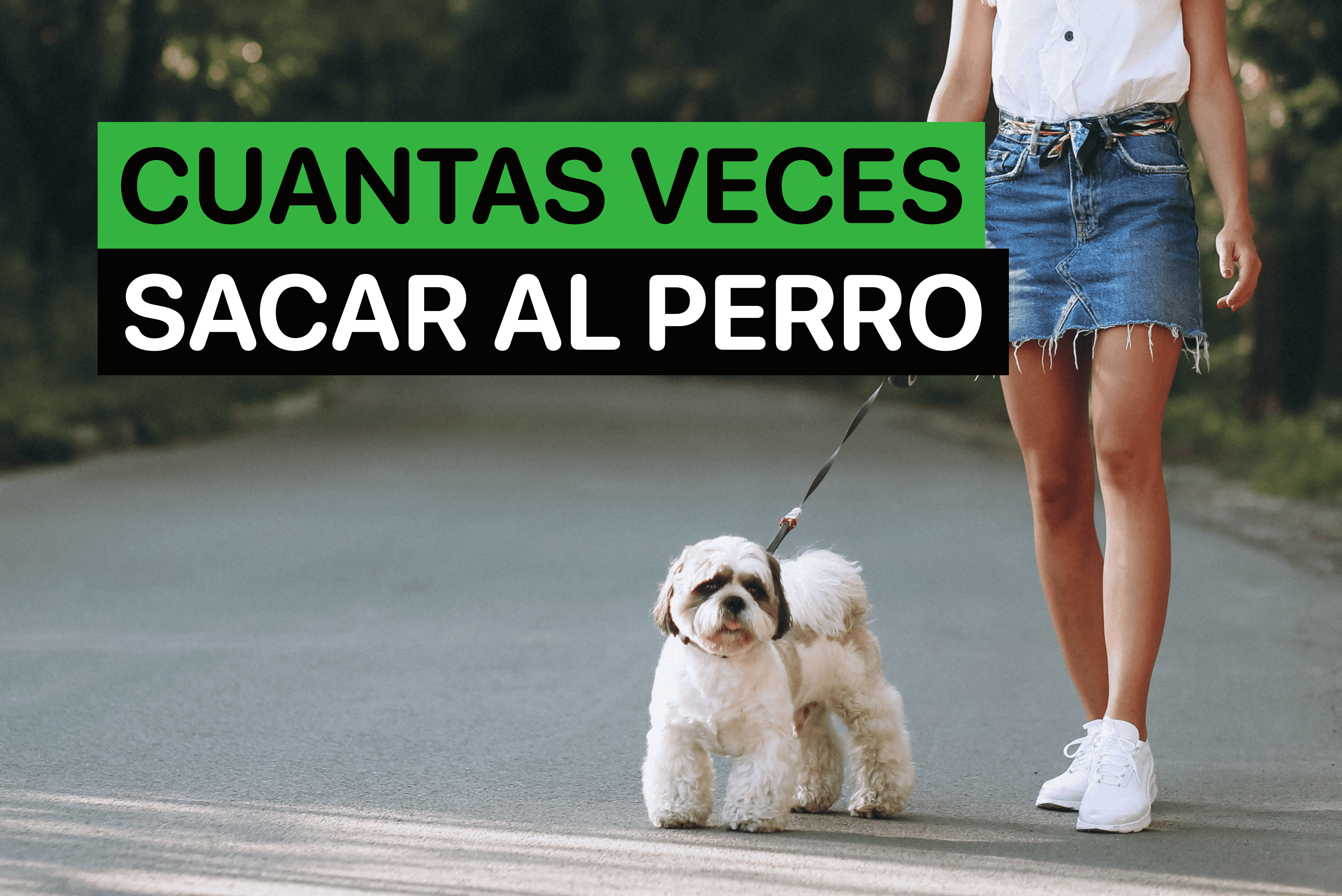 cuantas veces sacar al perro