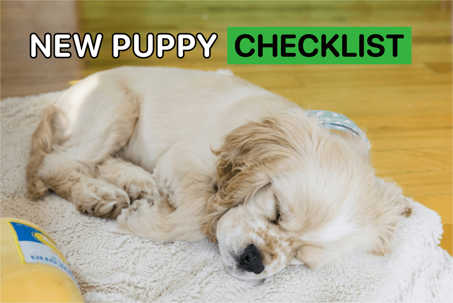 bringing a puppy home checklist