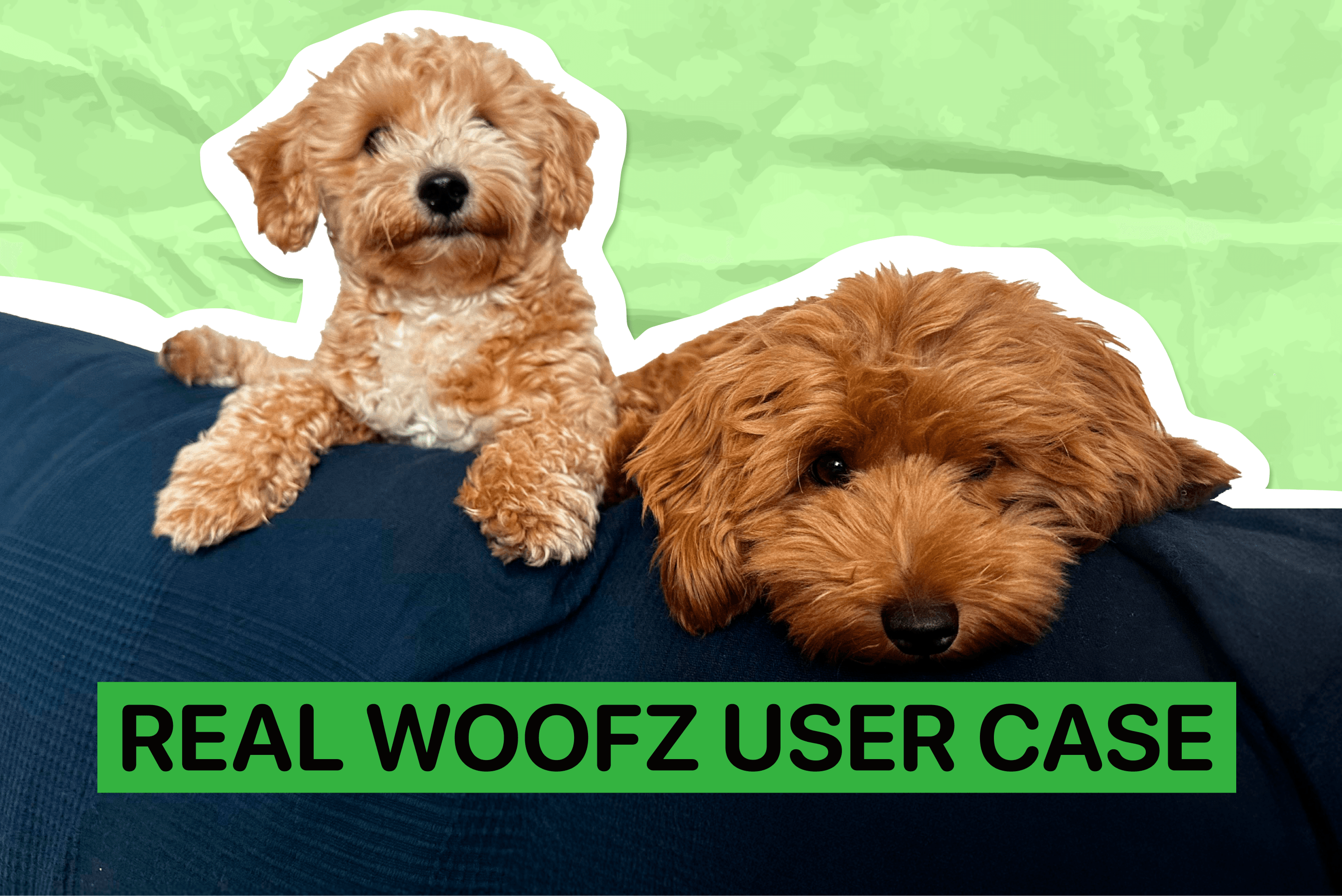 Real Woofz User Case