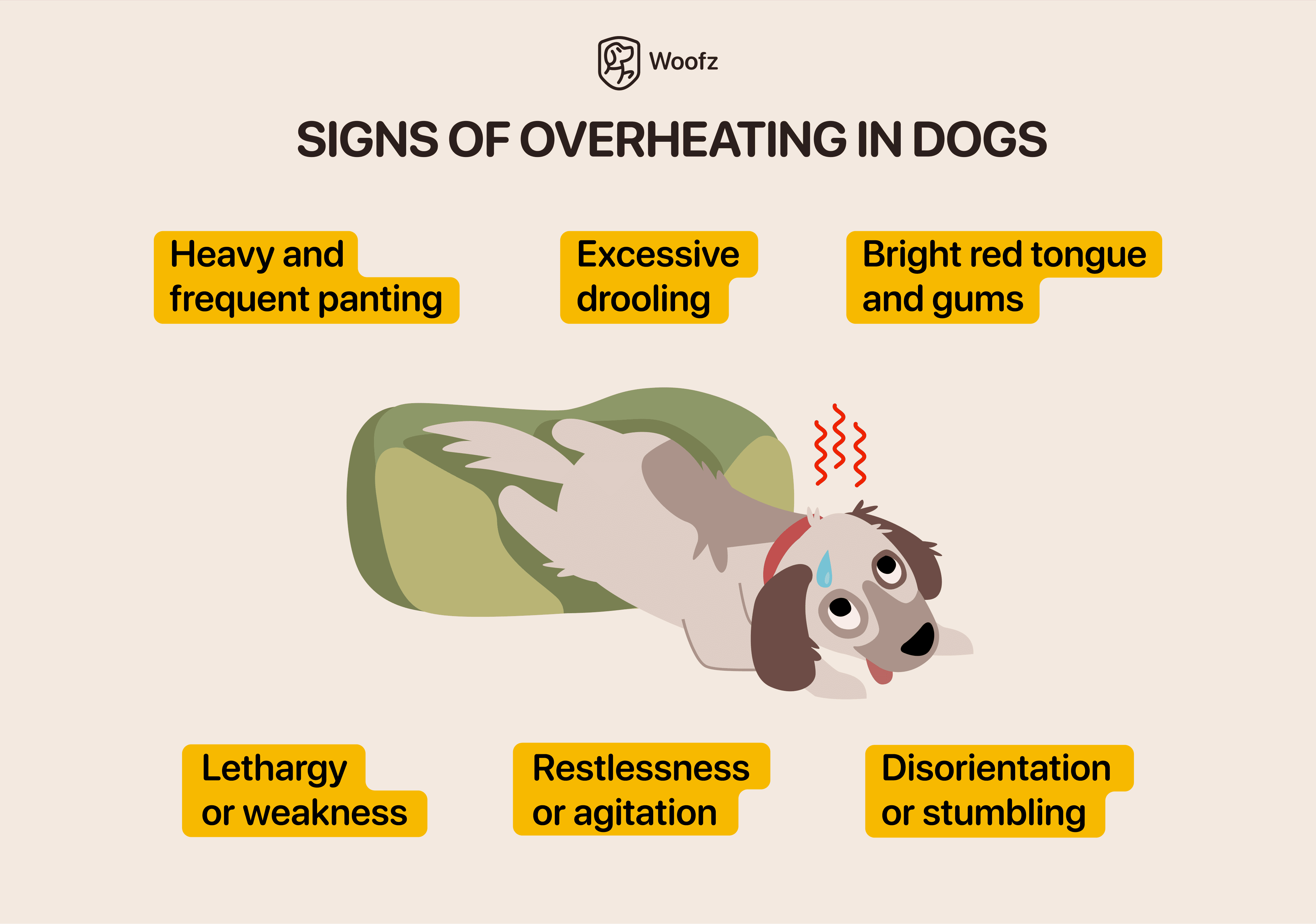 signs of overheating in dogs