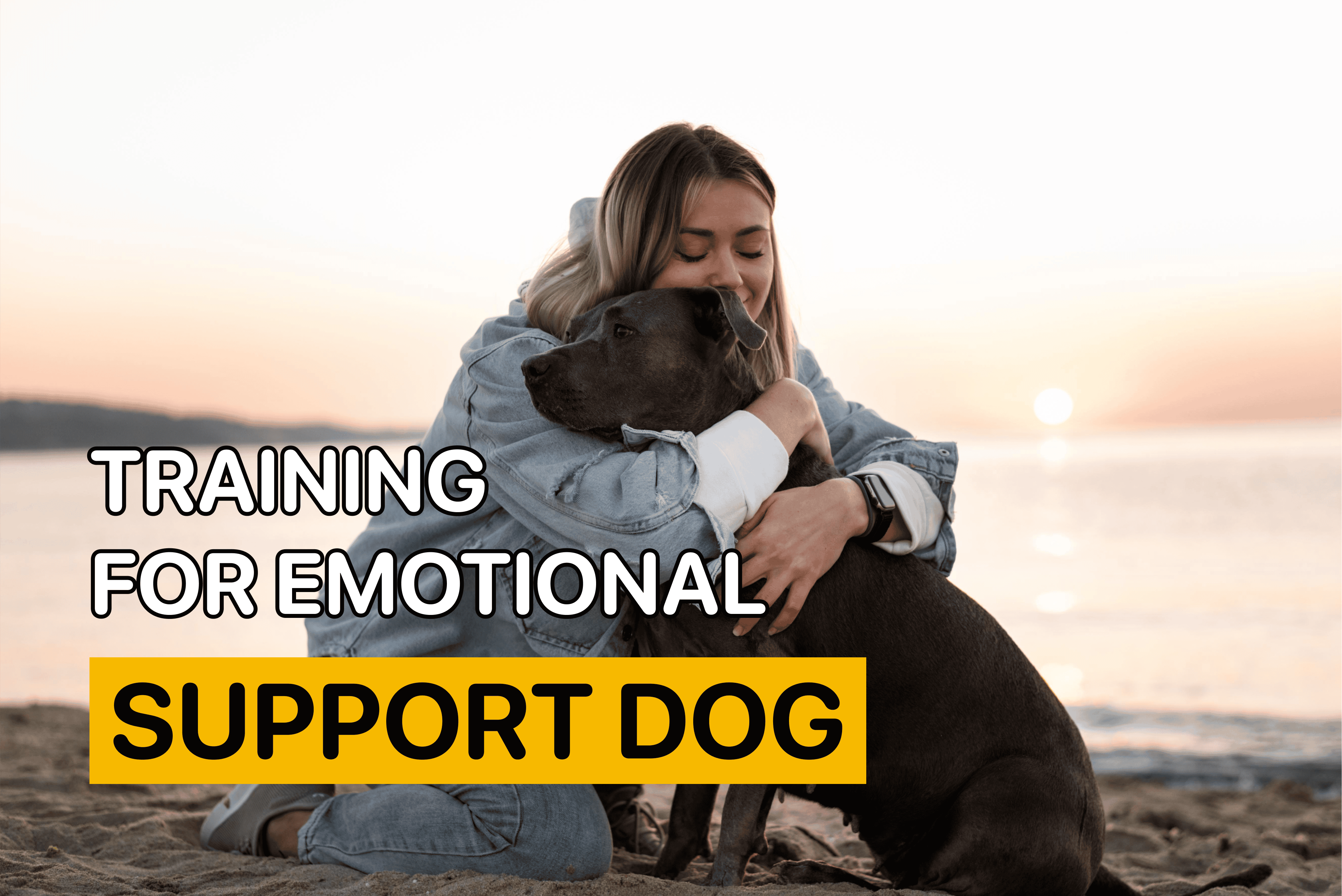 training for emotional support dog