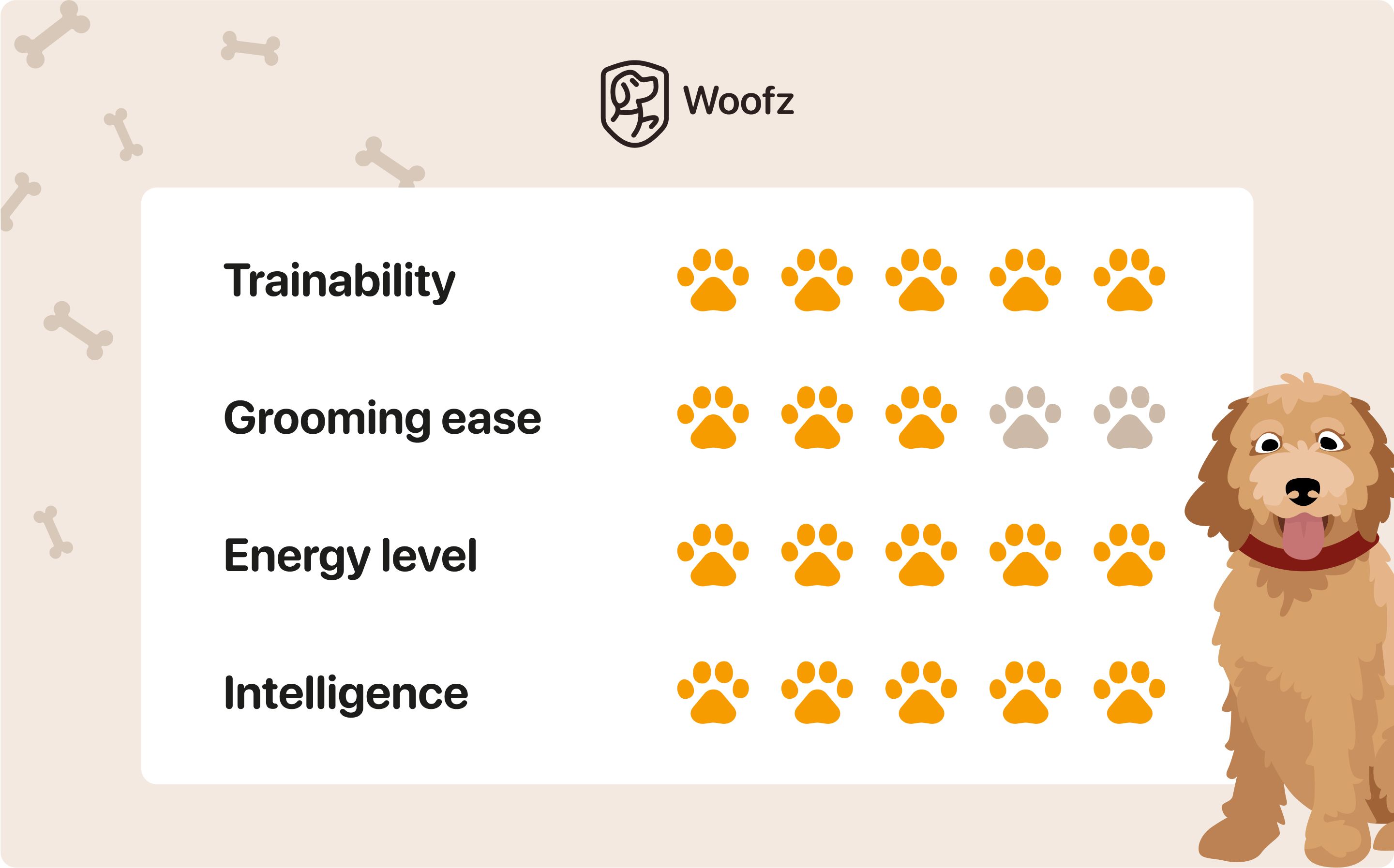 are goldendoodles easy to train