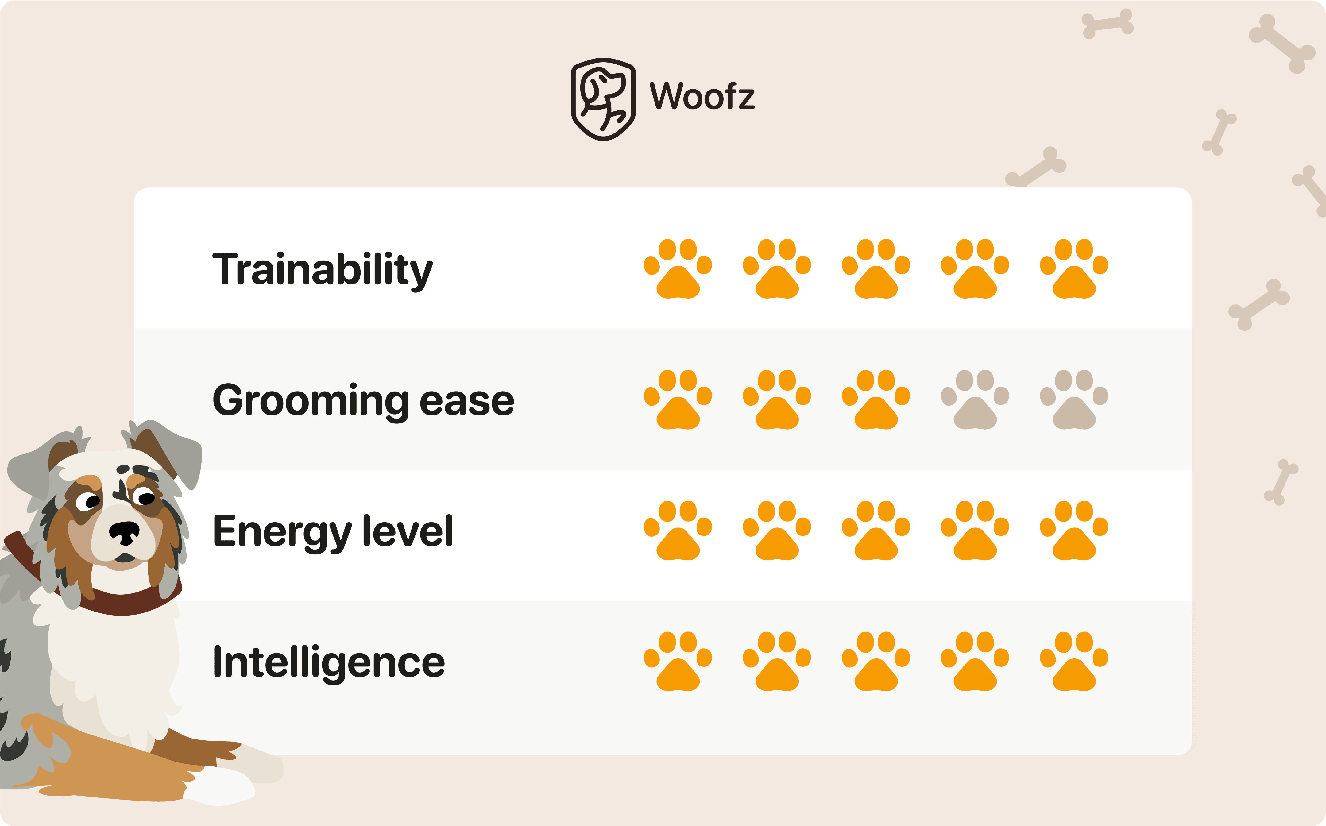 australian shepherd characteristics