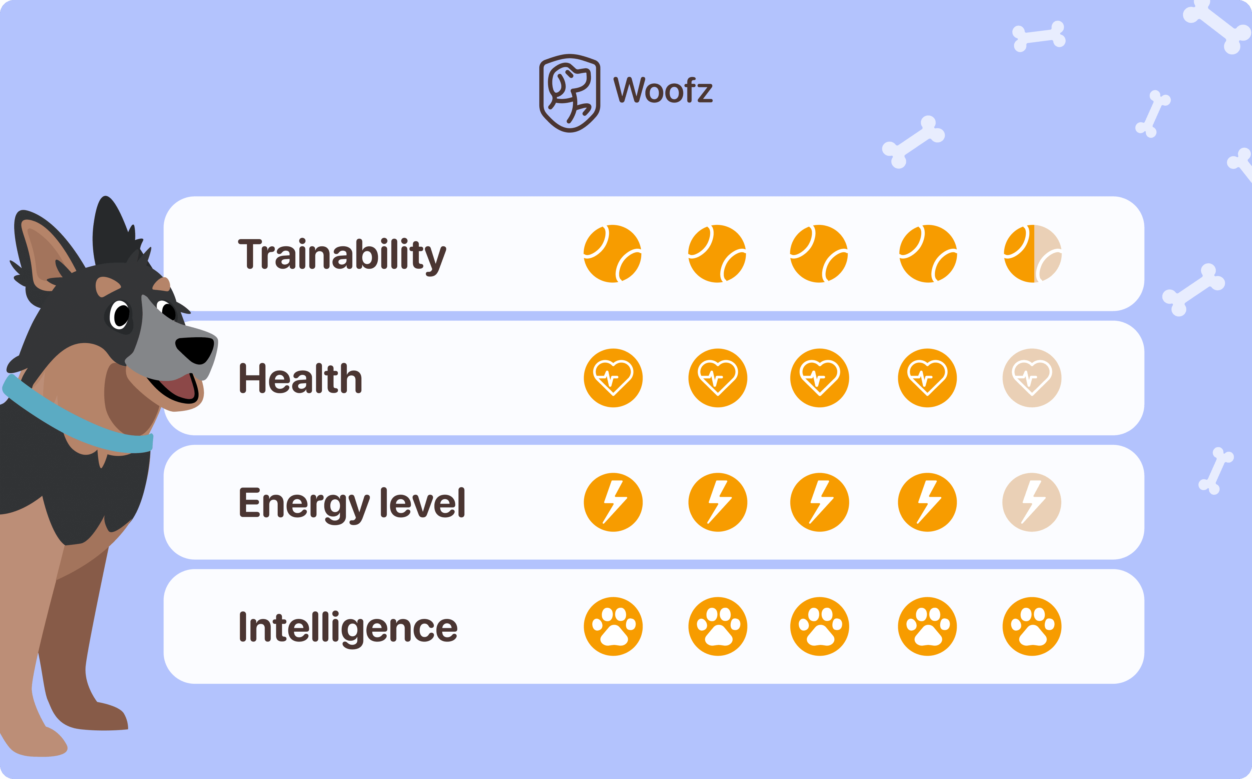 blue heeler personality