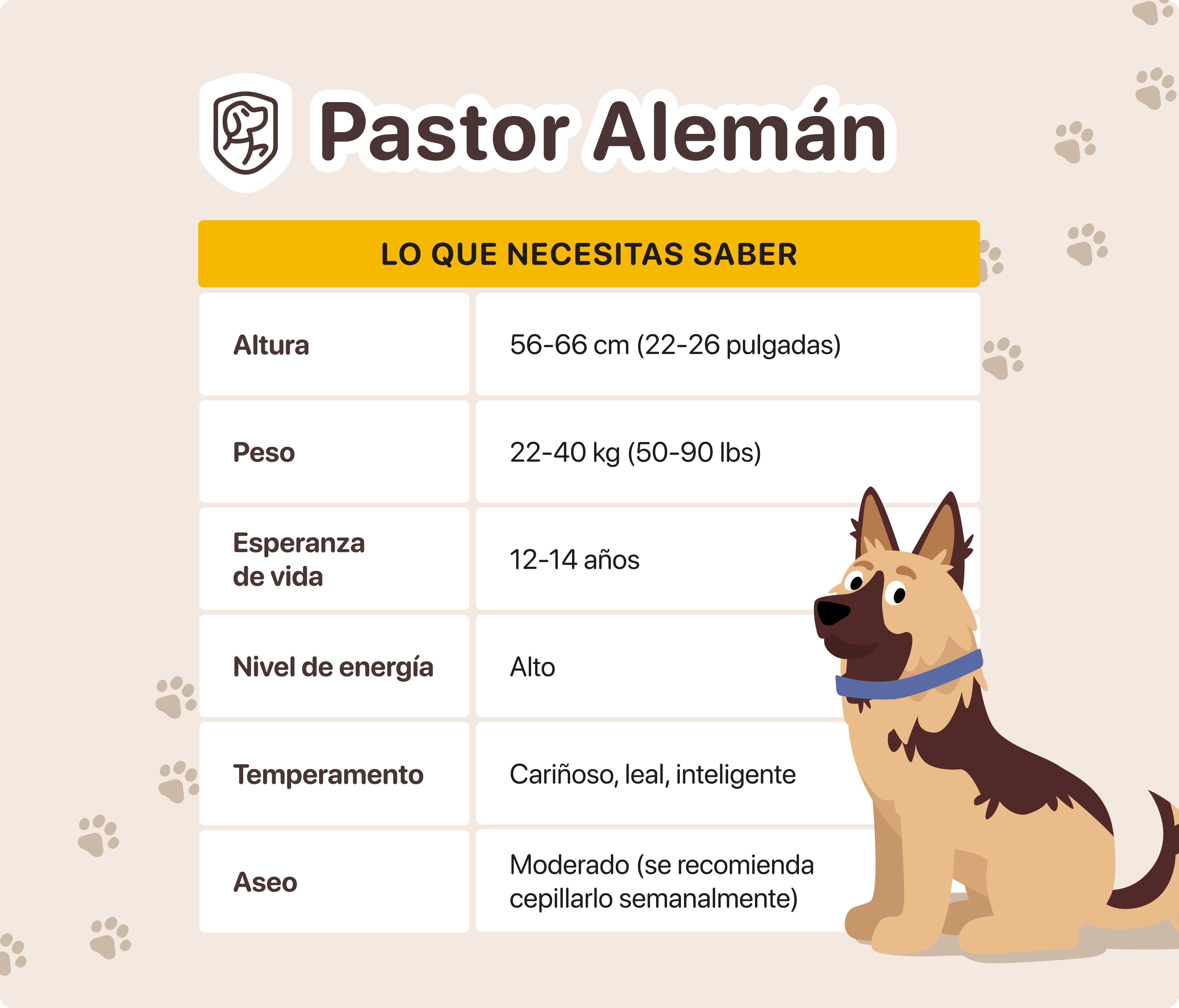 caracteristicas del pastor aleman