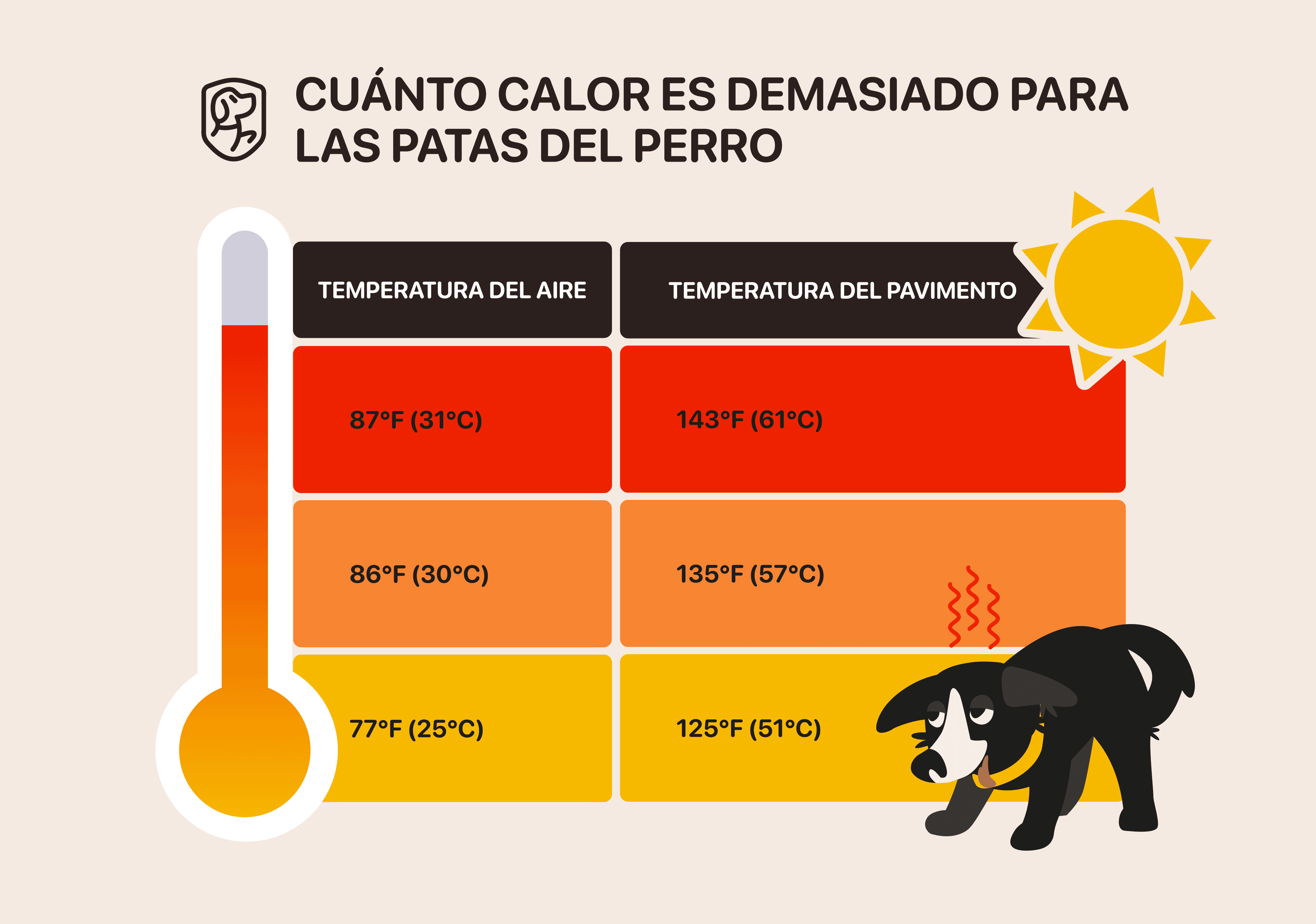 como proteger las almohadillas de los perros en verano