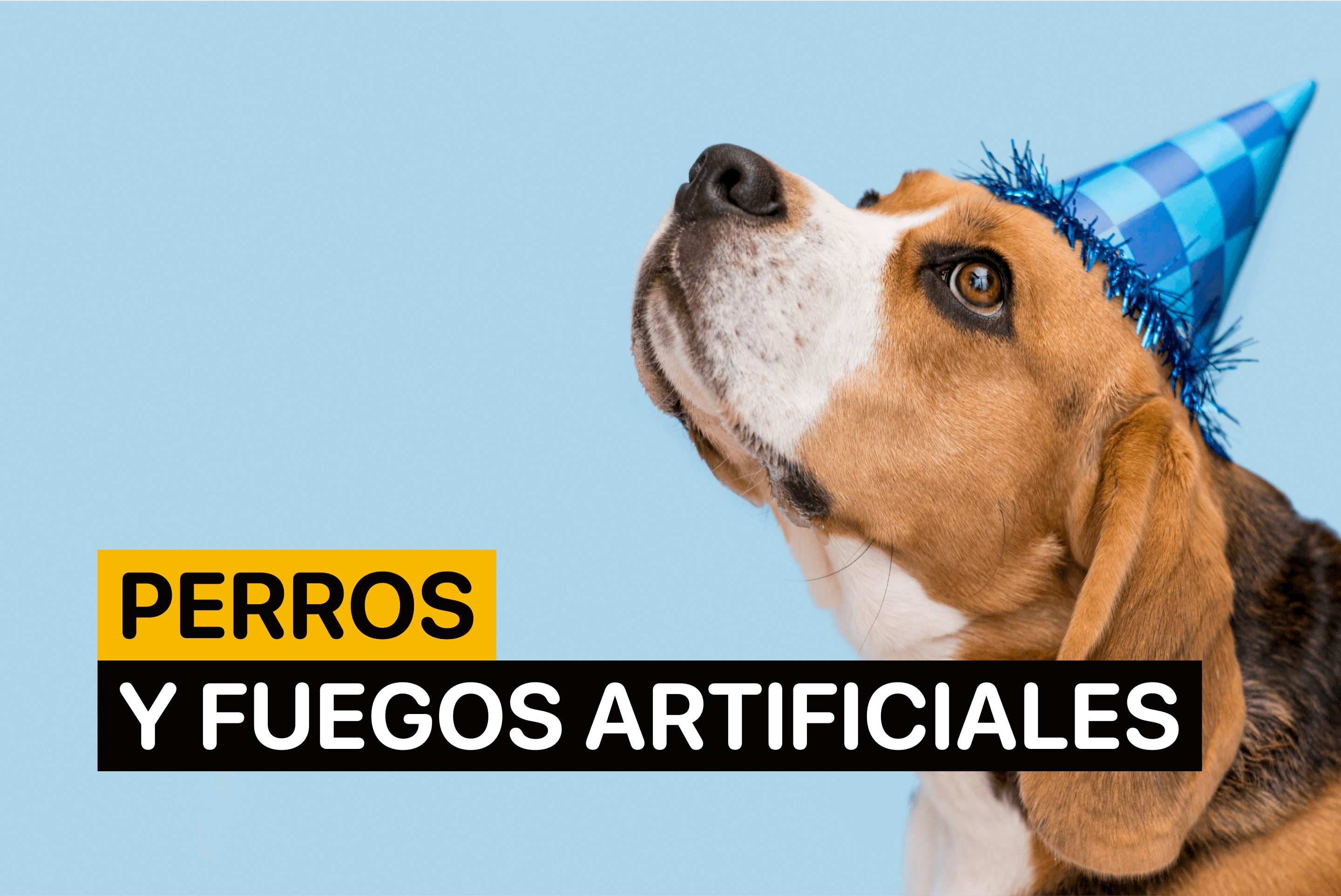 como tranquilizar a un perro asustado por cohetes