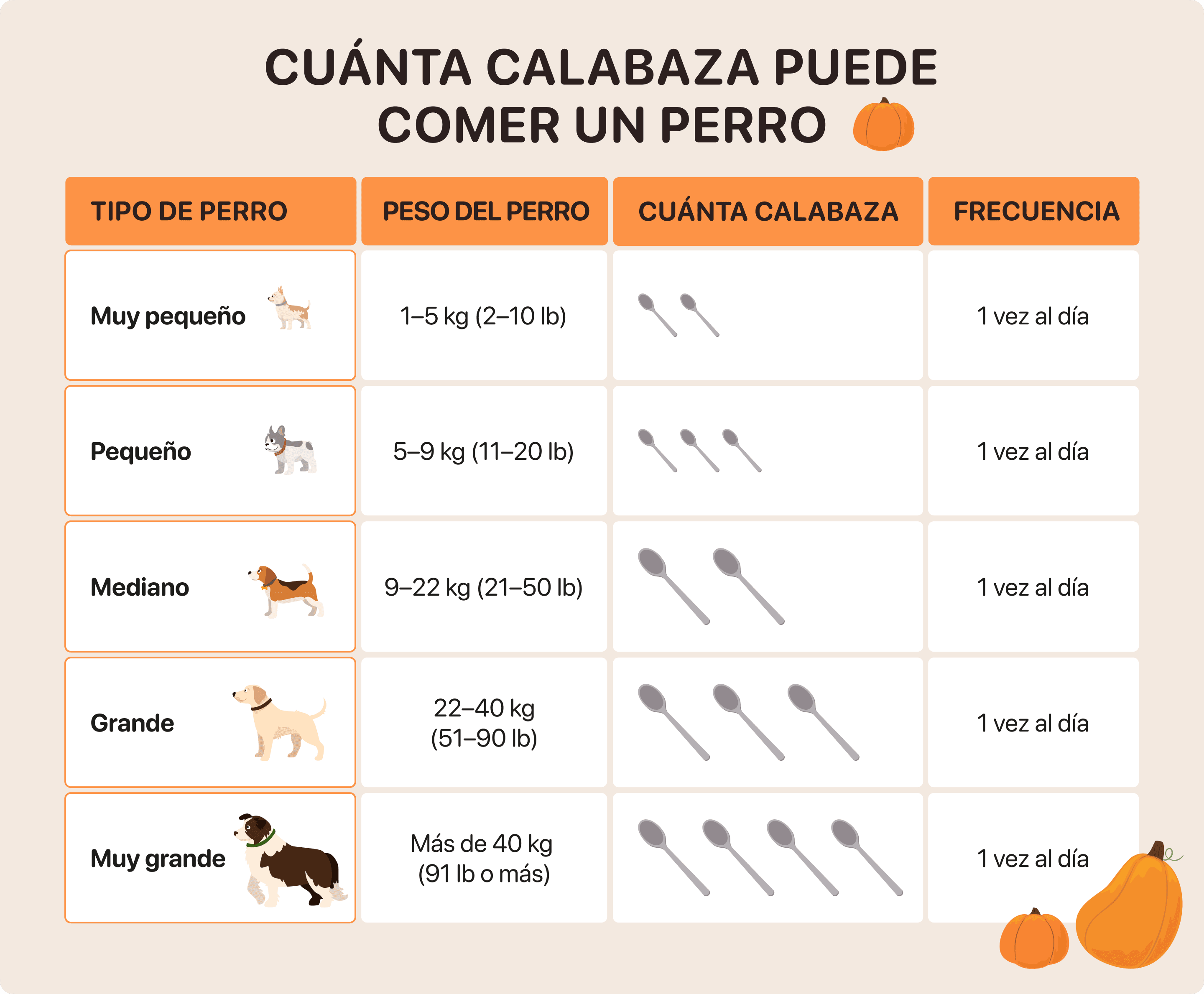 cuanta calabaza puede comer un perro