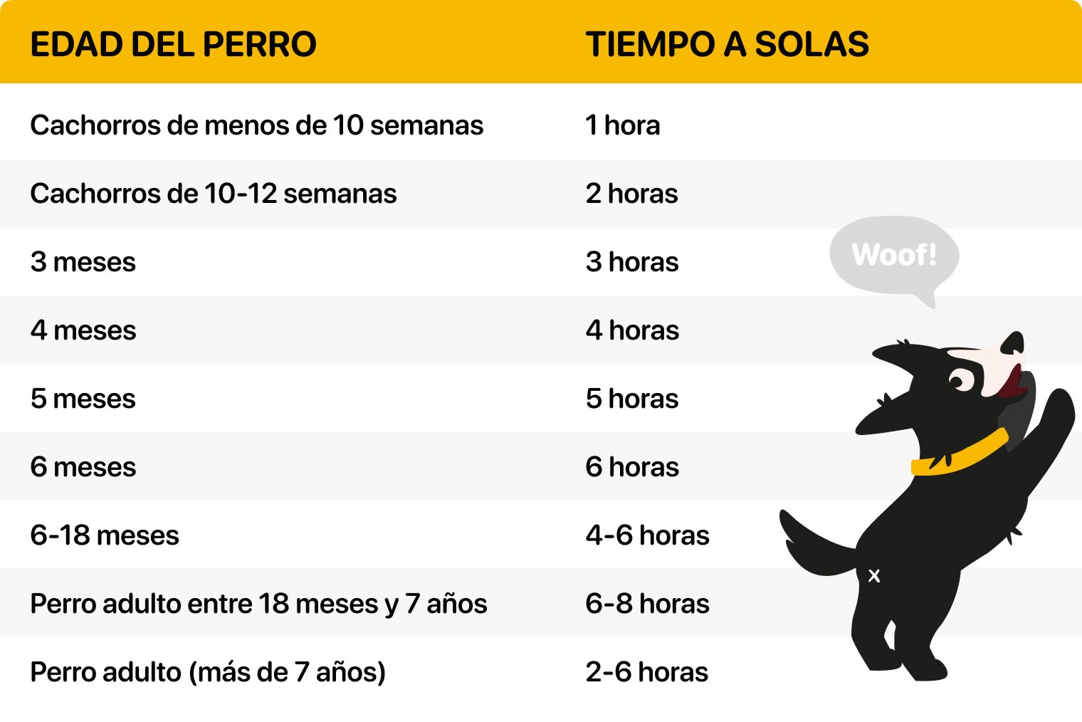 cuantas horas puedo dejar a mi perro solo en casa
