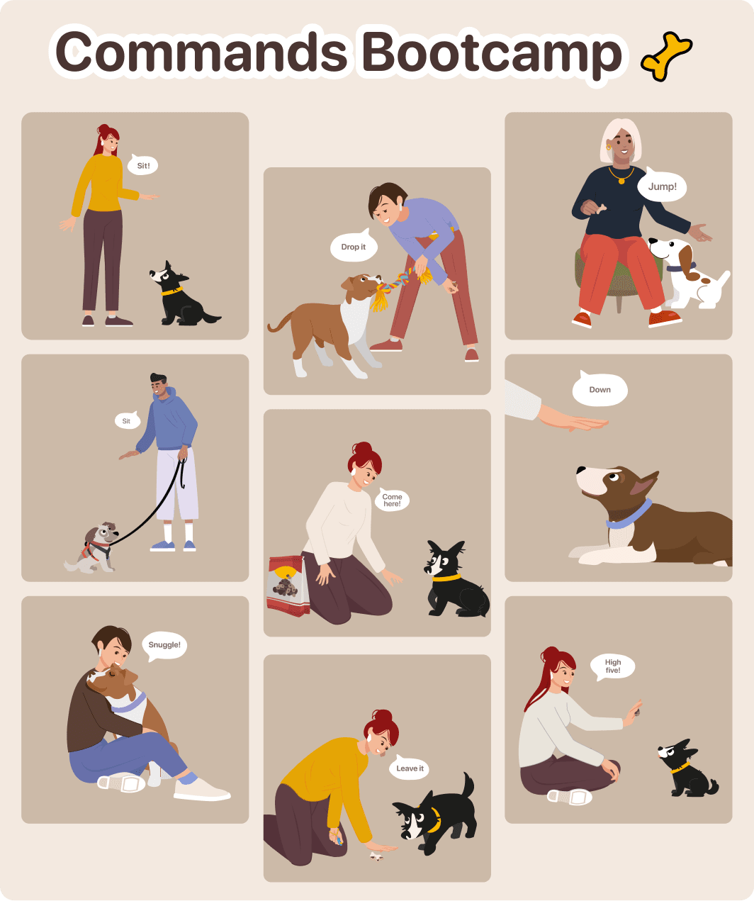 cta-dog