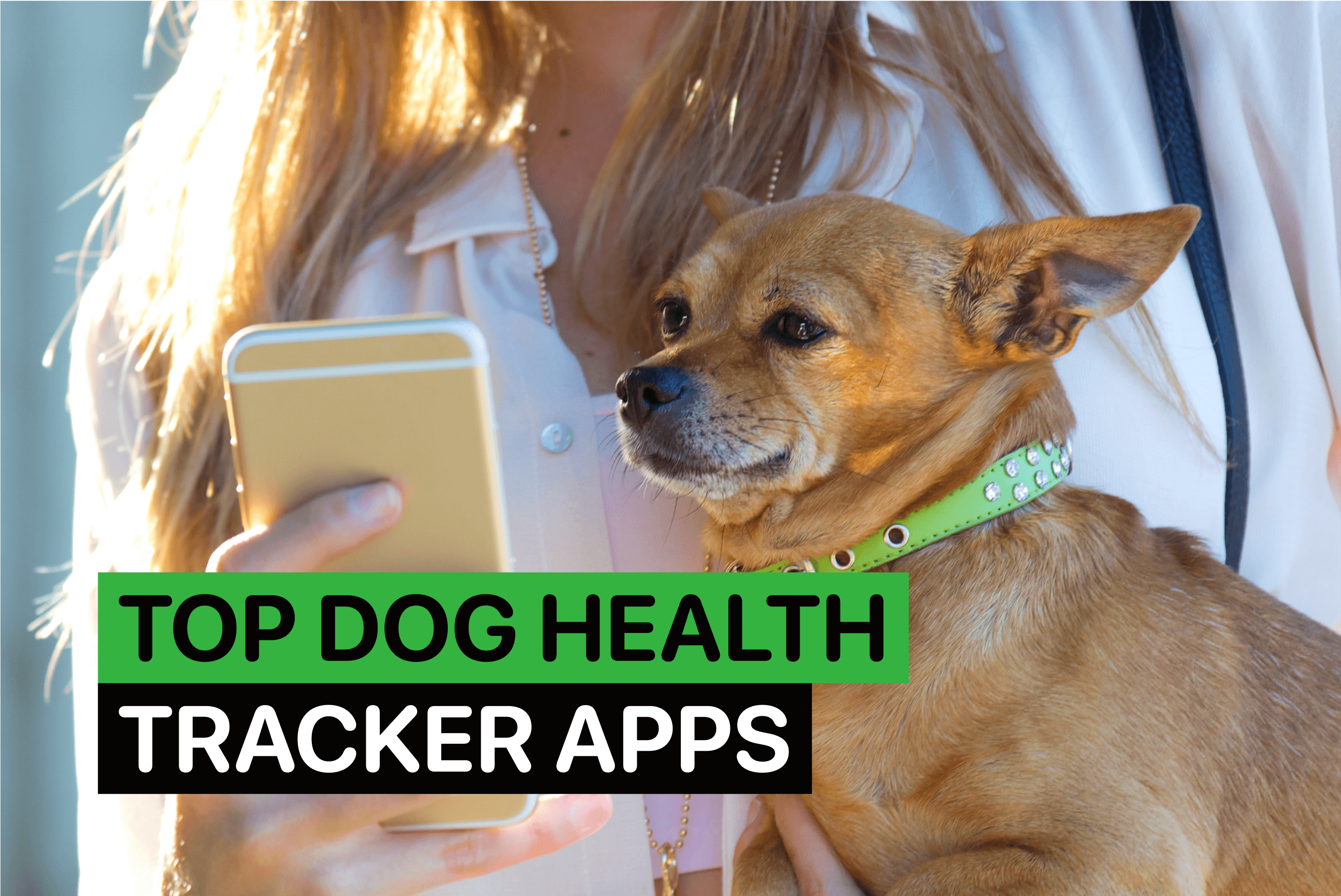 dog health tracker app