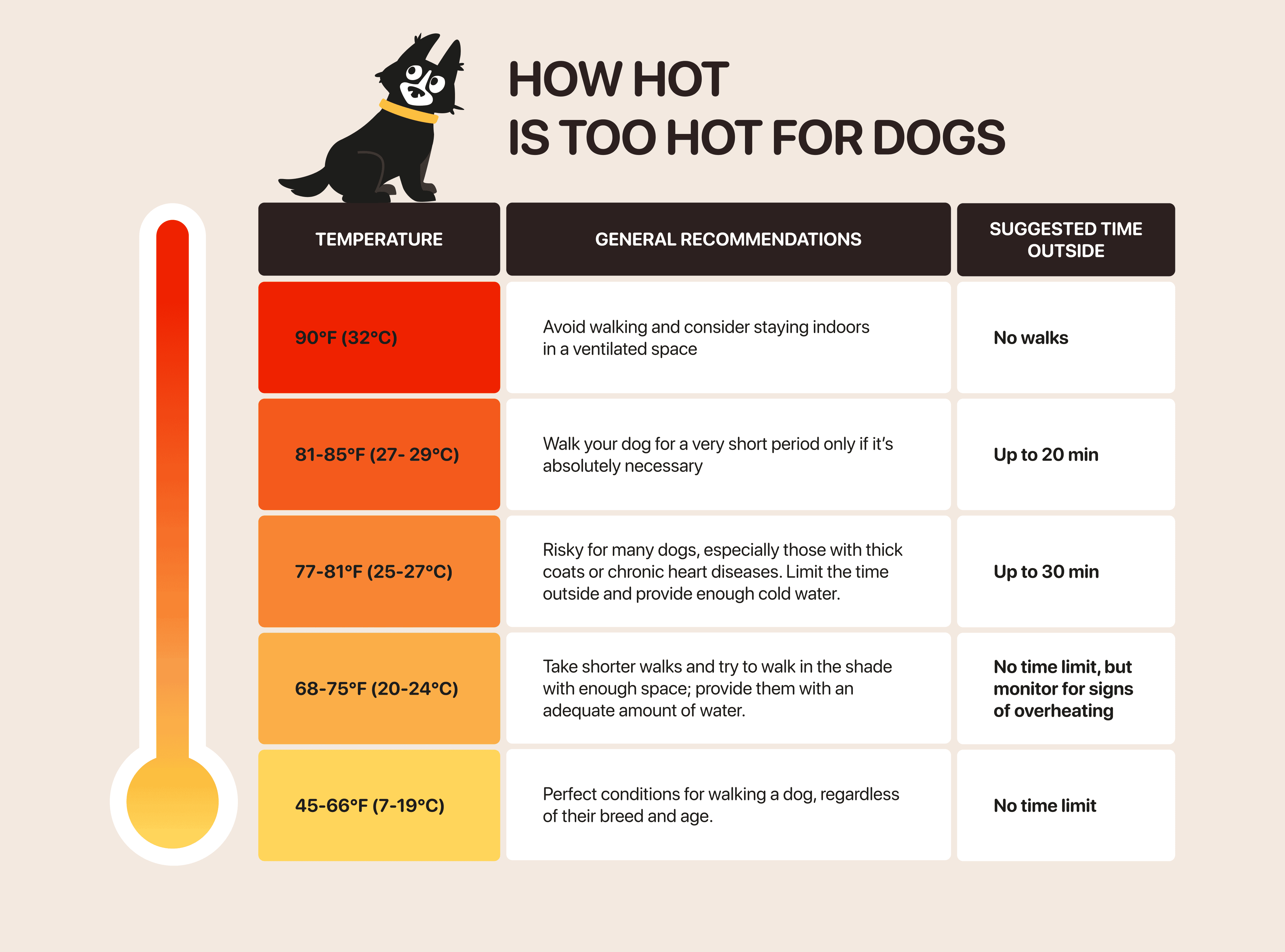 dog walk temperature chart