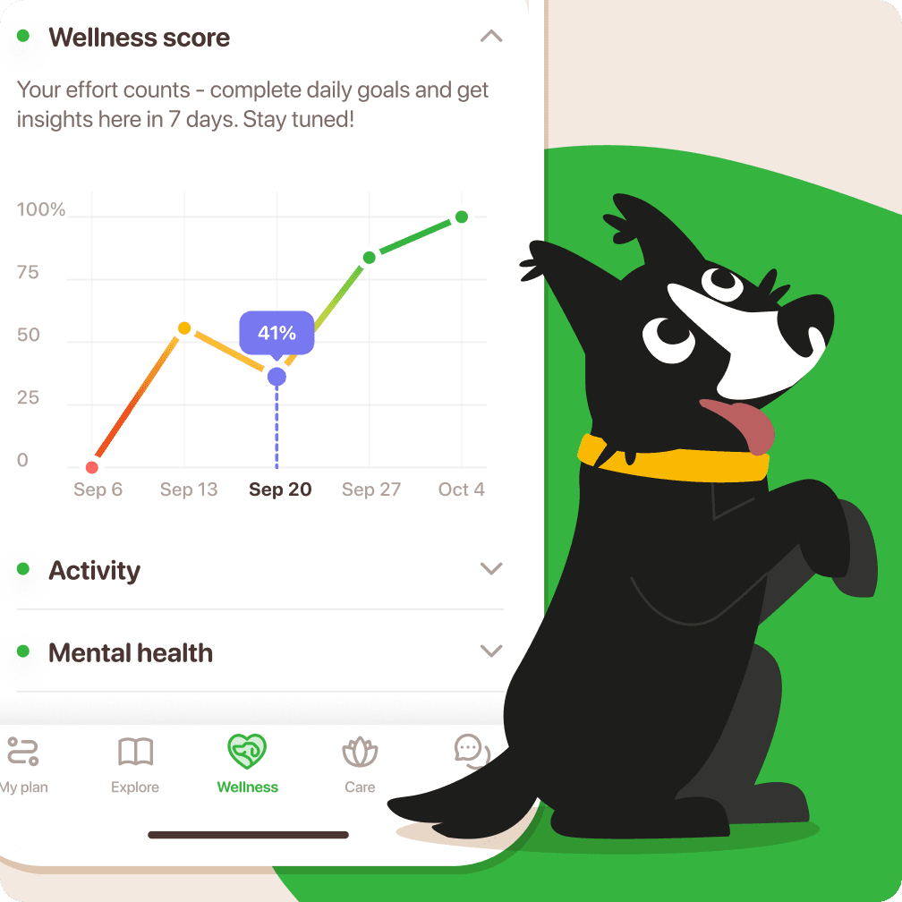 dog wellness score