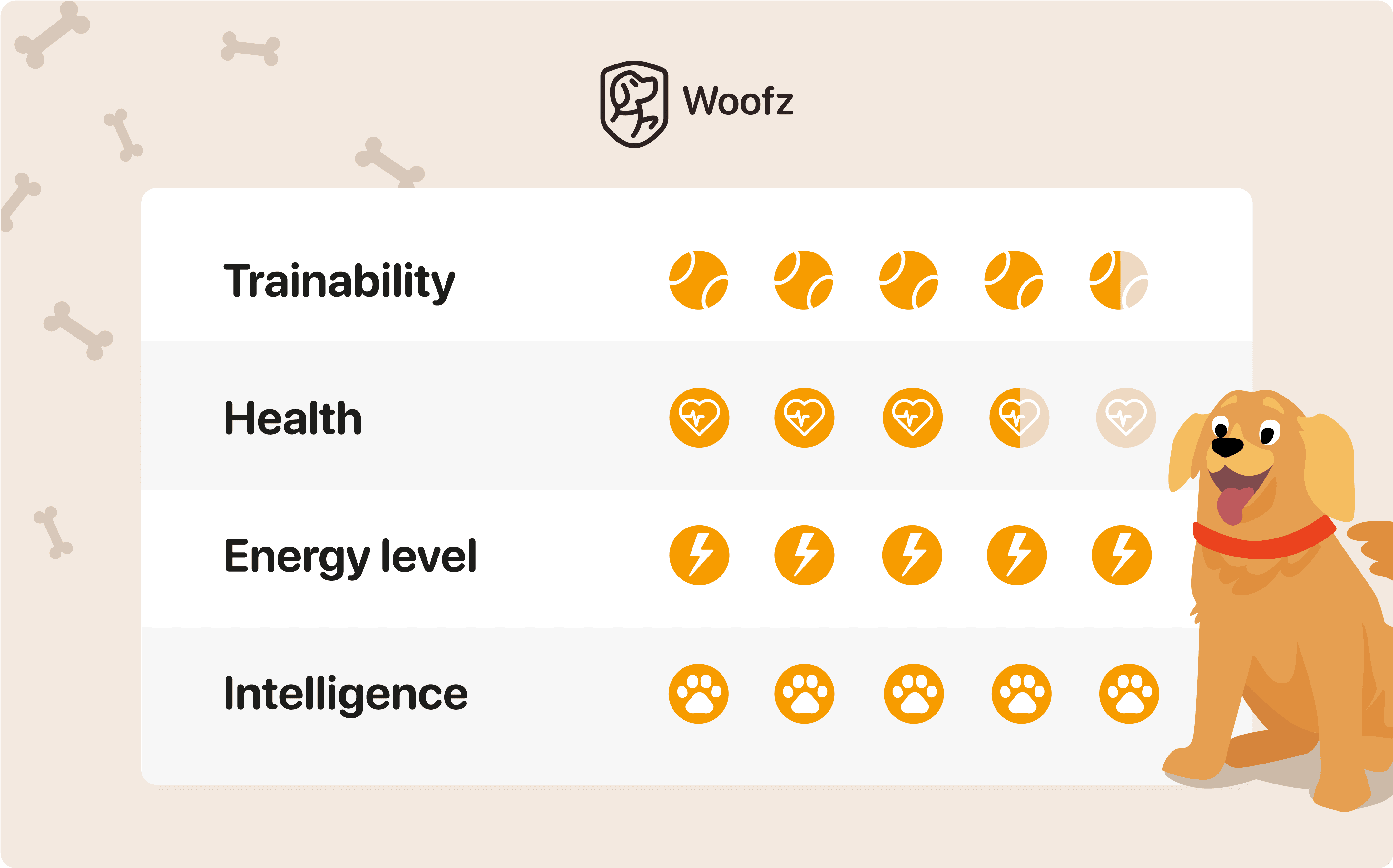 golden retriever energy level