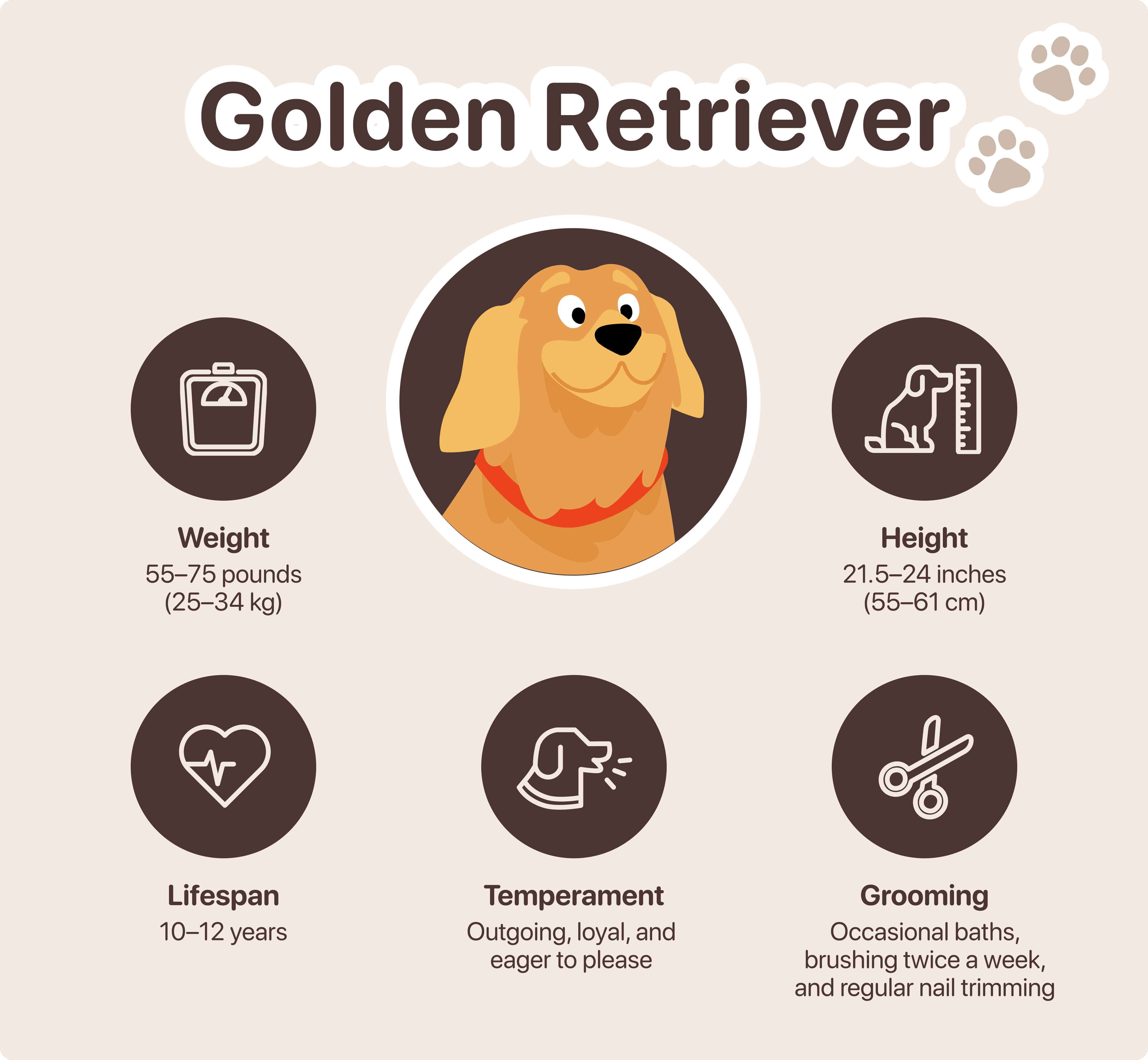 golden retriever temperament