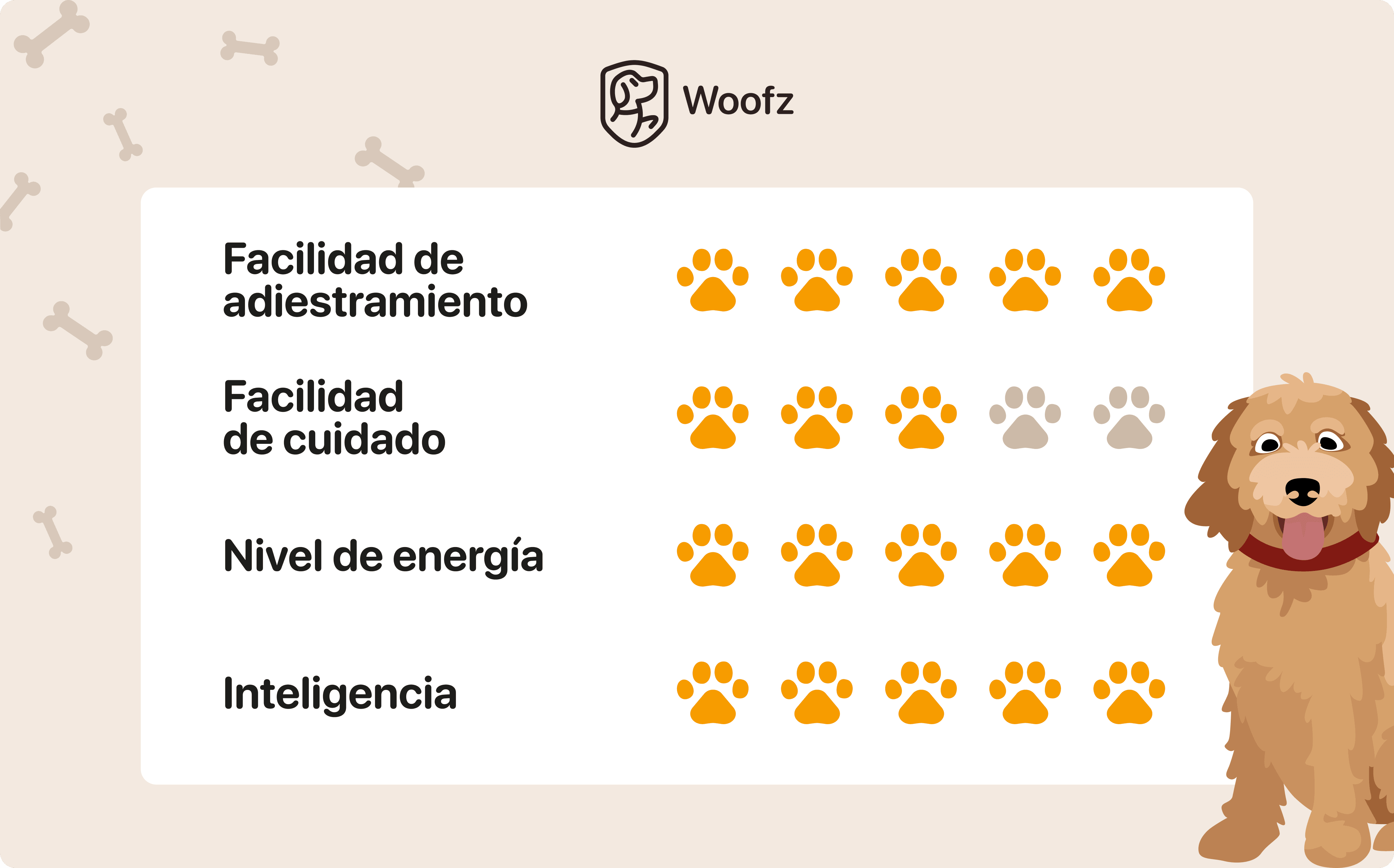 goldendoodle características