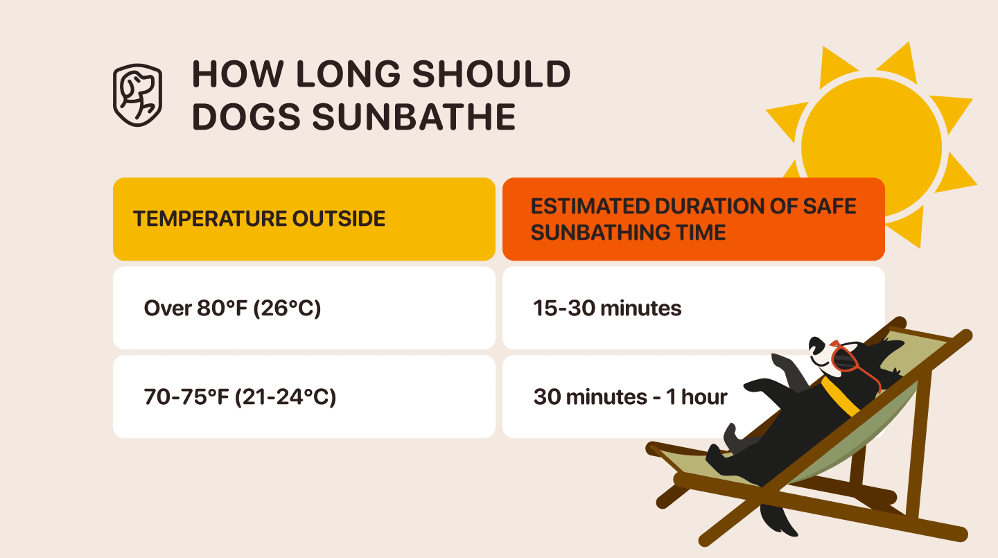 how long should dogs sunbathe