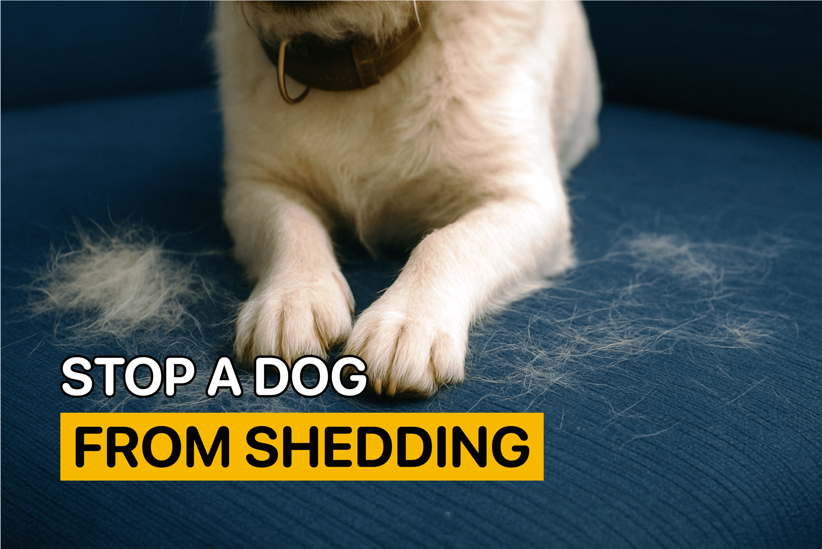 how to stop dogs from shedding so much