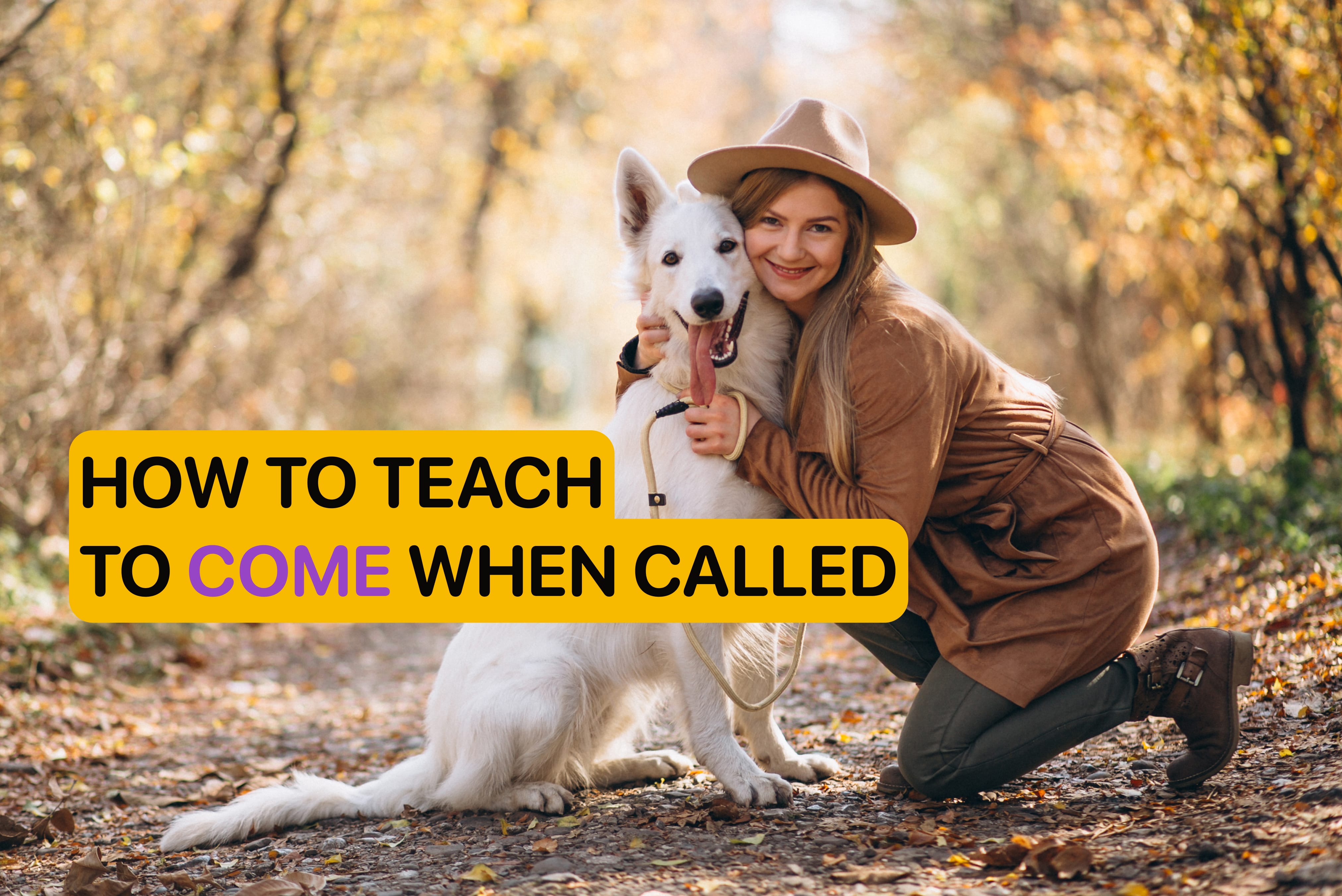 how to teach your dog to come when called