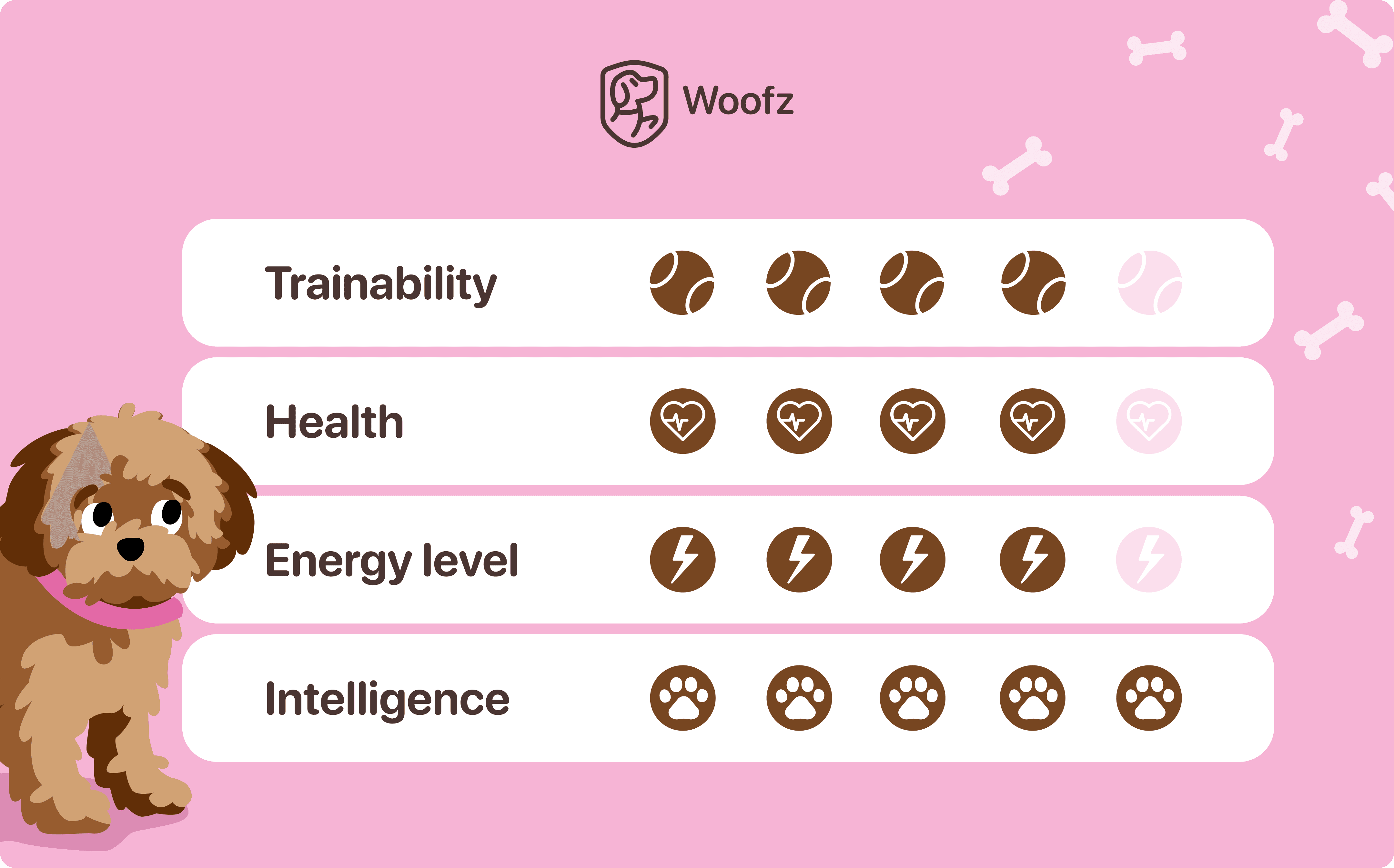 maltipoo energy level