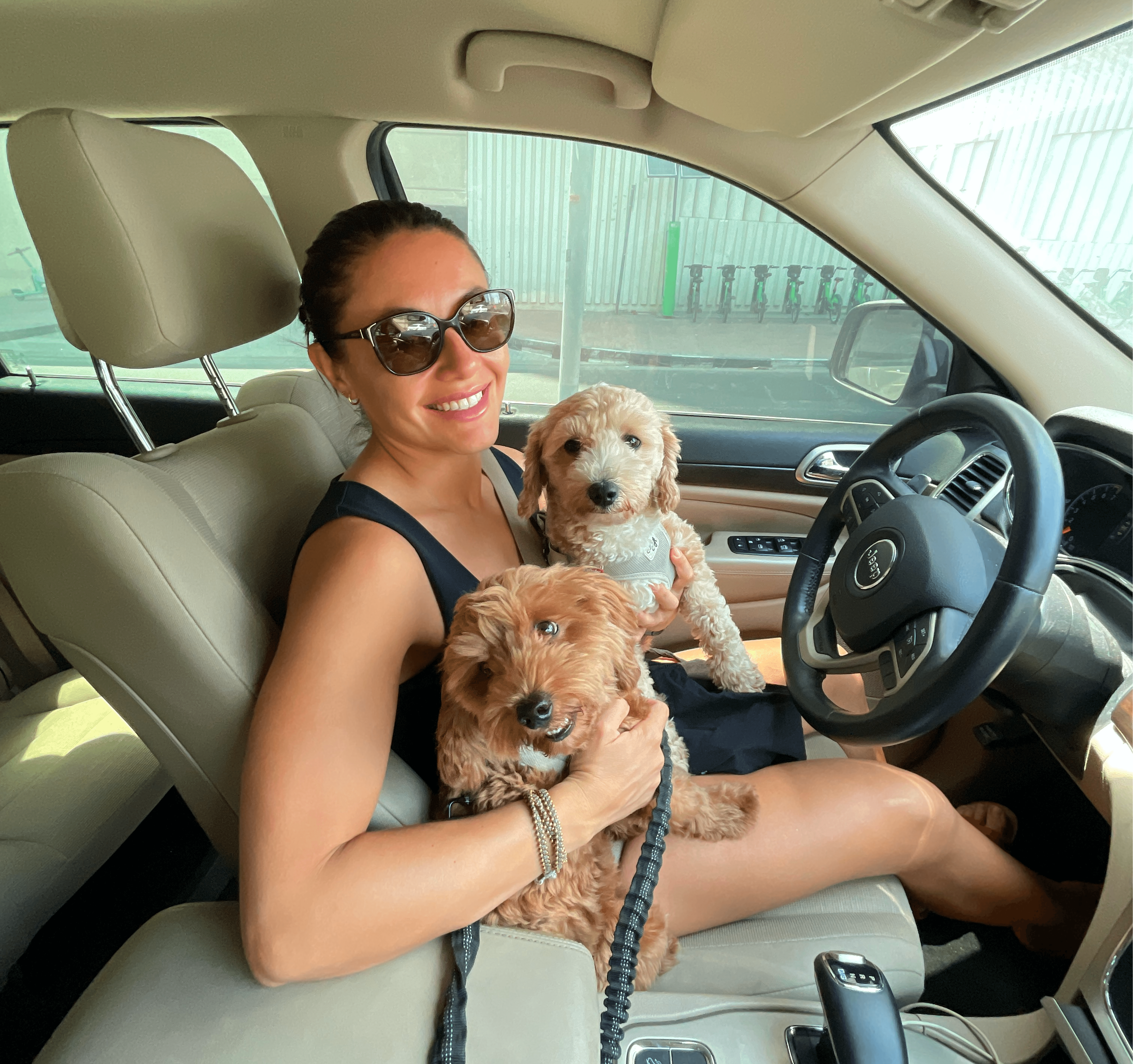 maltipoo potty training