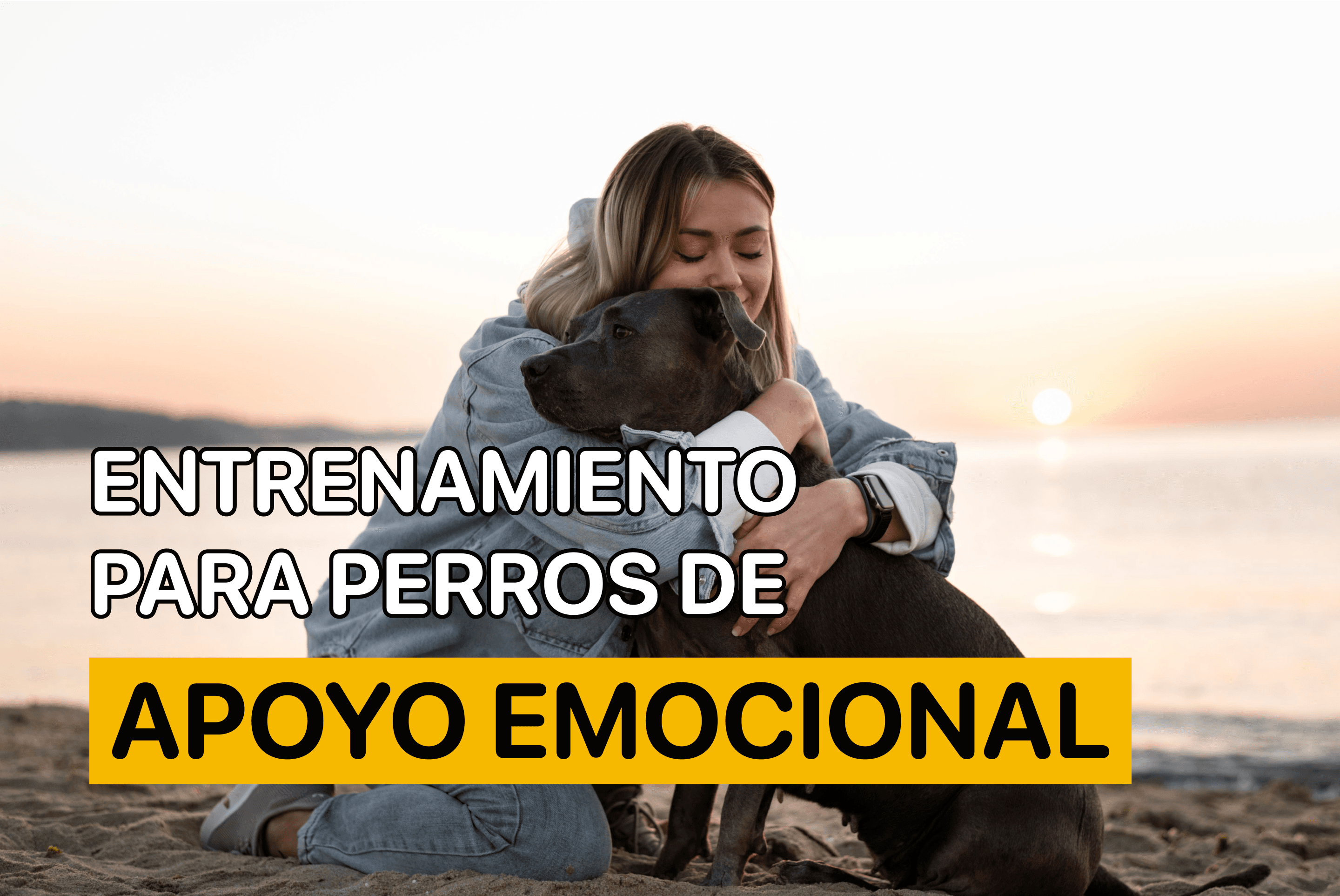 perros de apoyo emocional