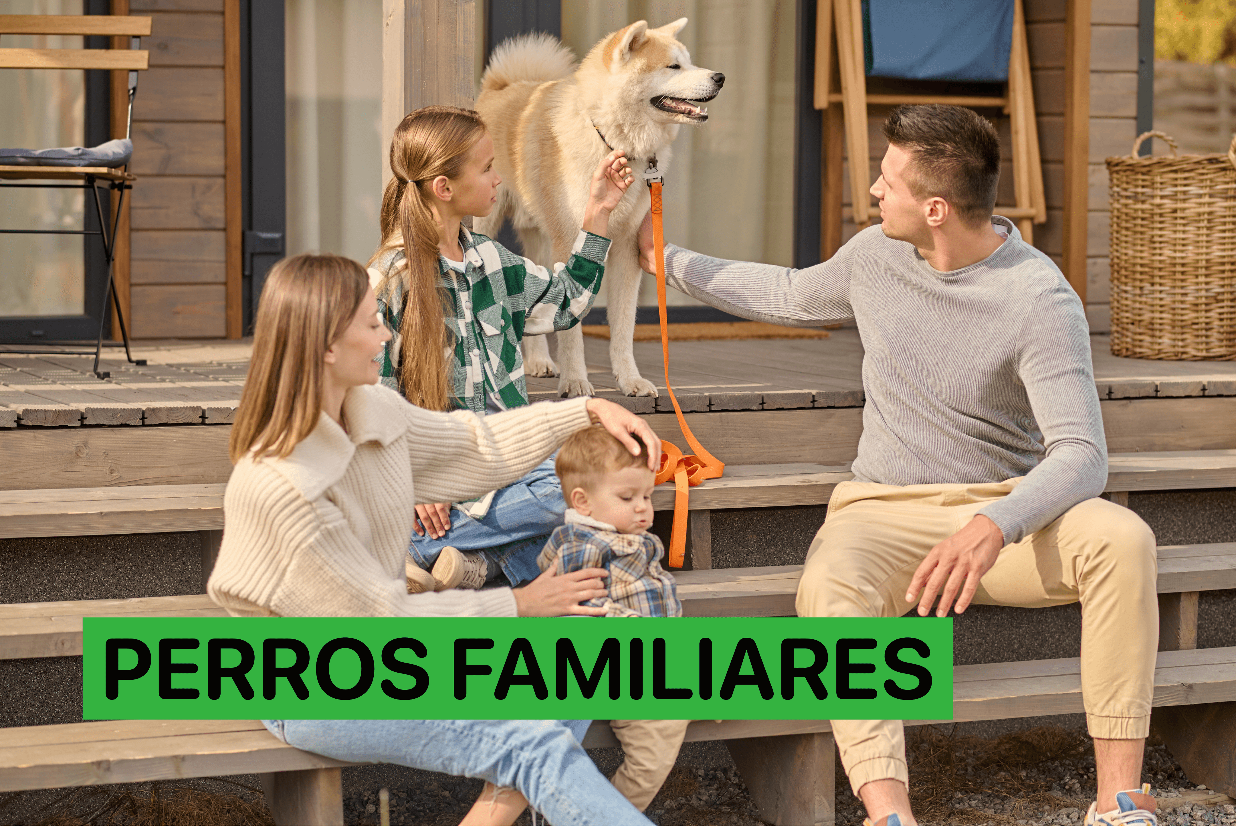 perros familiares