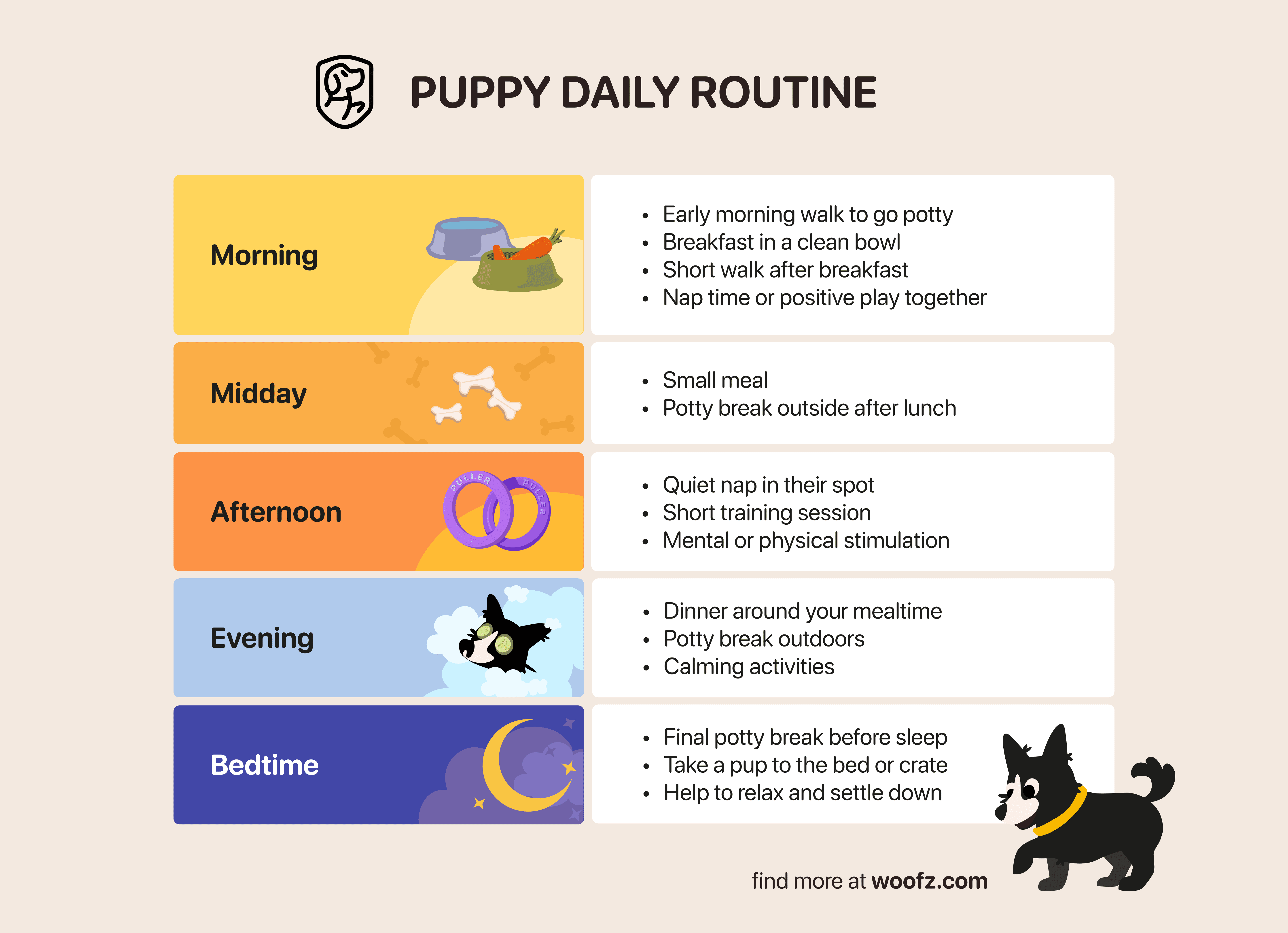 puppy daily routine