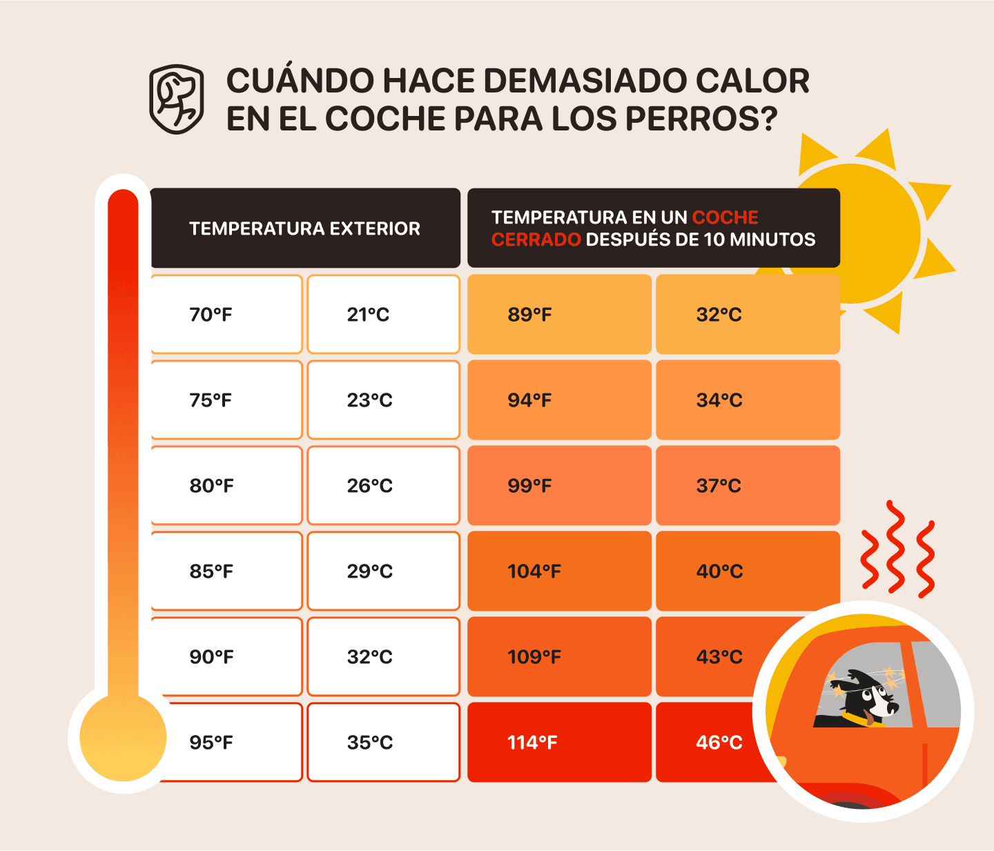 seguridad perros coche