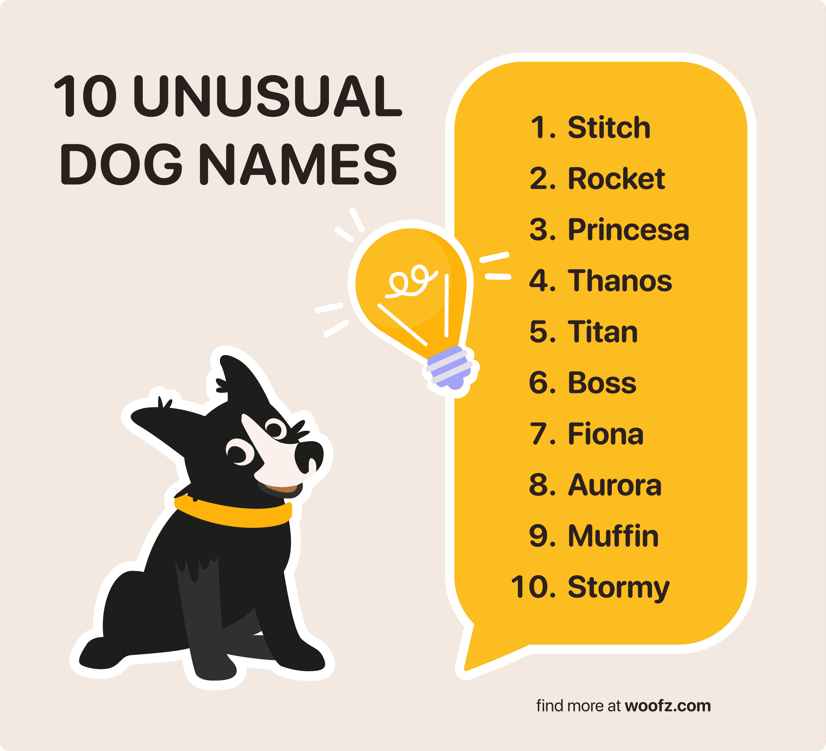 unusual dog names